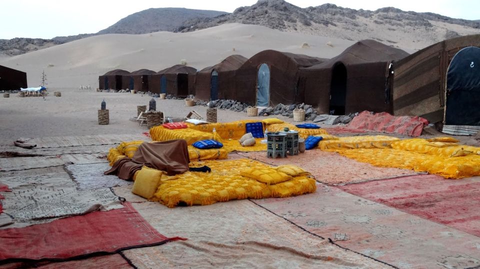 Zagora Sahara Desert Overnight Trip From Ouarzazate - Experience Highlights