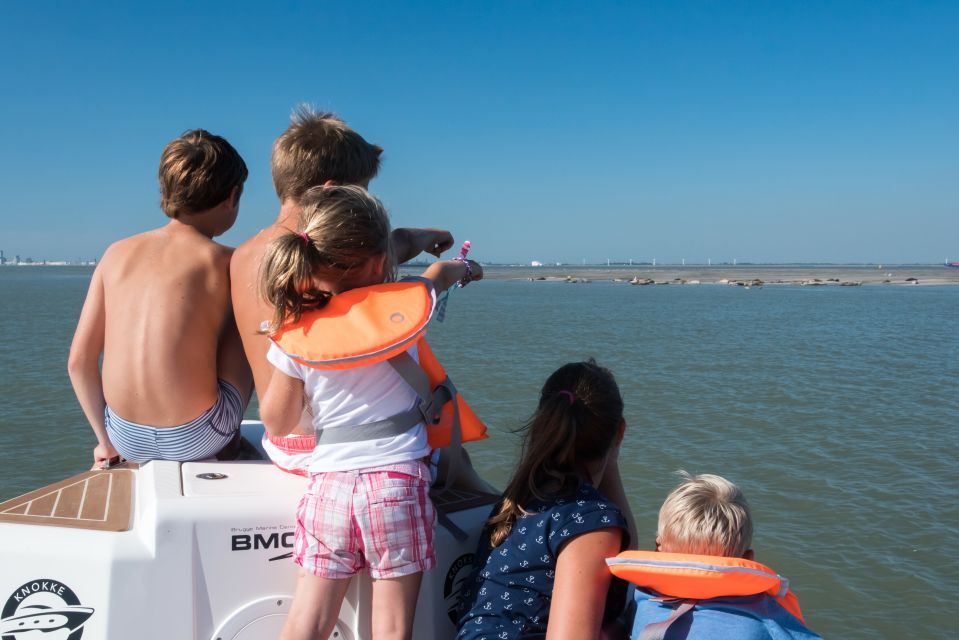 Zeebrugge: Seal Watching Boat Tour With Glass of Champagne - Experience Details