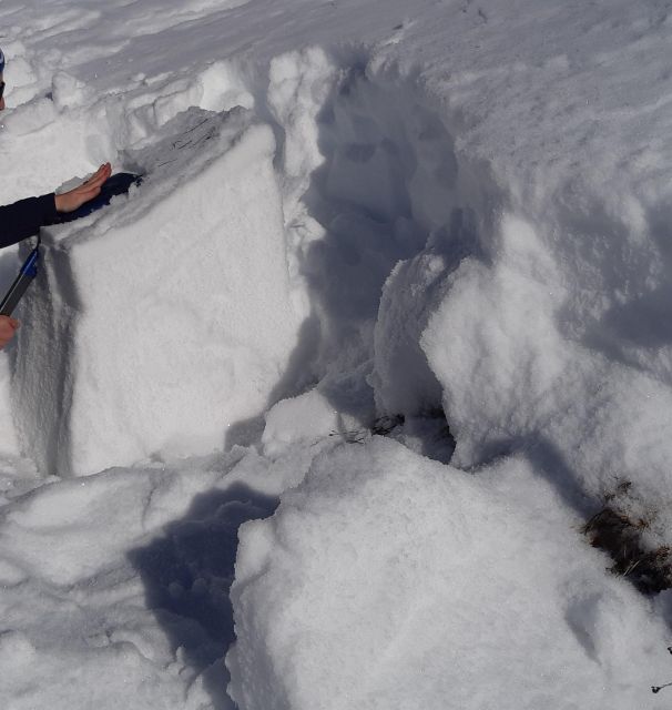 Zermatt: Avalanche Workshop for Snowshoe Tours - Experience Highlights