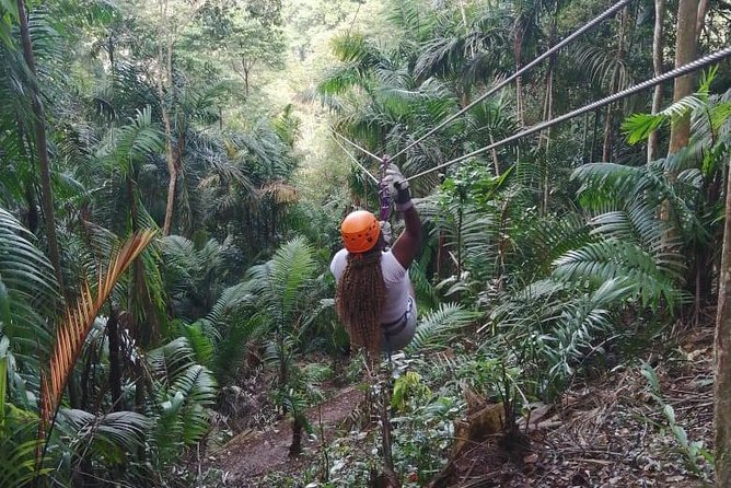 Zipline Adventure In The Rainforest - Pricing and Availability Details