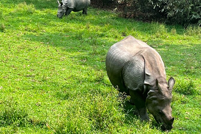 3-Day Guided Safari Tour in Chitwan National Park in Nepal - Itinerary Overview