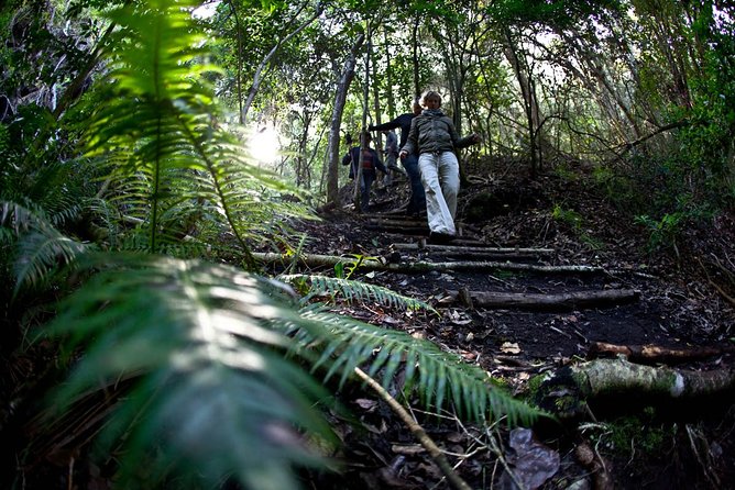 3-Day Private Hiking Trail in The Overberg - Key Points