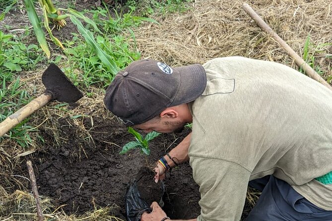 3 Day Private Tour Authentic Coffee Experience in Colombia - Traditional Coffee Tasting Sessions