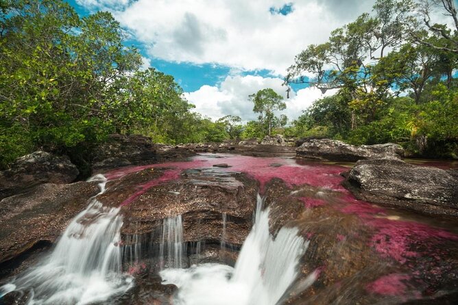3-Day Trip to Caño Cristales From Bogota - Key Points