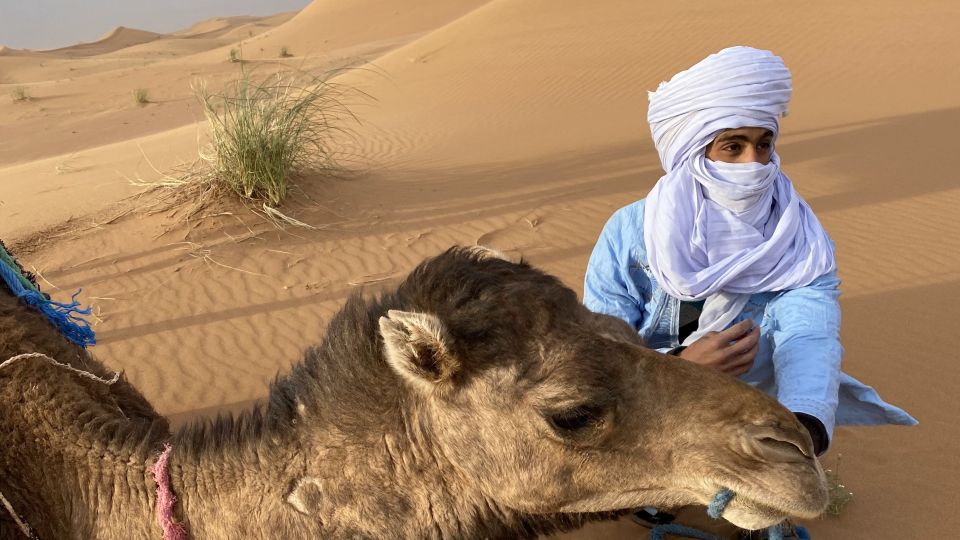 3 Days Camel Trekking in Morocco Desert Tour - Key Points