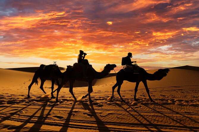 3 Days Desert Tour From Fes to Marrakech via Merzouga