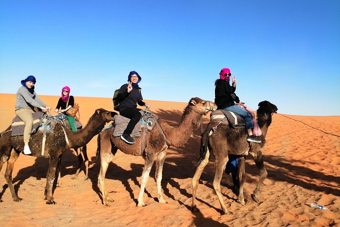 3 Days From Marrakech Merzouga Ends in Fez - Itinerary Overview
