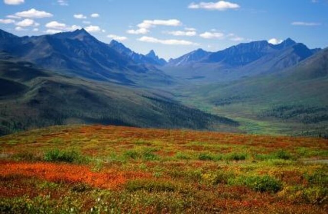 3 Days Tour Fall Color in Yukon From Whitehorse - Key Points