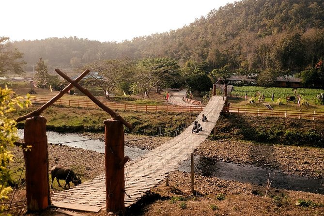 3 Days Trekking Tour to Mae Wang Jungle From Chiang Mai - Key Points