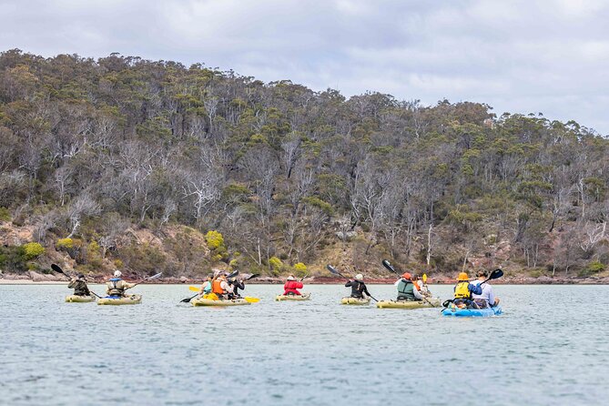 3 Hour Aboriginal Culture Tour With Kayaking in Coraki Drive - Key Points