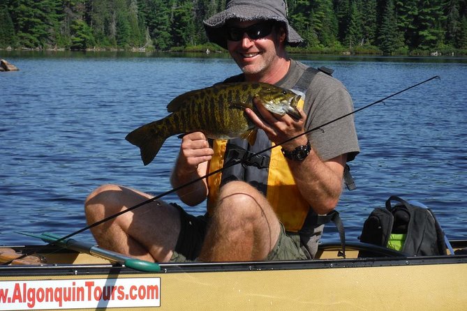 3 Hour Algonquin Park Bass & Trout Fishing (Private- Price Is for 1 or 2 People) - Key Points