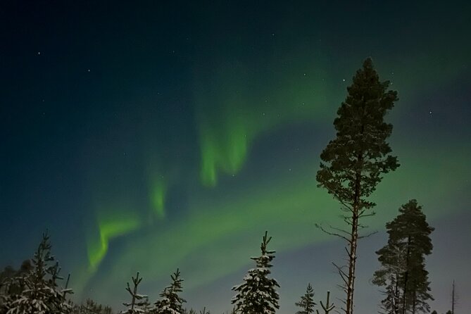 3 Hour Aurora Hunting Through the Forests of Lapland - Key Points