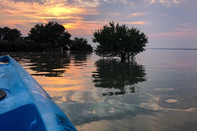 3-Hour Kayaking Eco Adventure - Mangrove Purple Island - Key Points