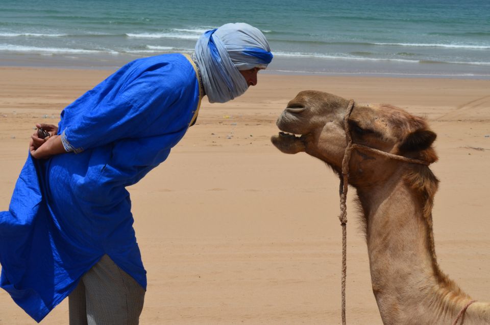 3-Hours Dromedary Ride Essaouira, Morocco - Key Points