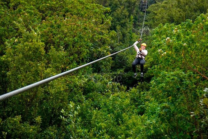 3 Hours of the Longest and Highest Extreme Zip Line Experience in Monteverde - Experience Highlights