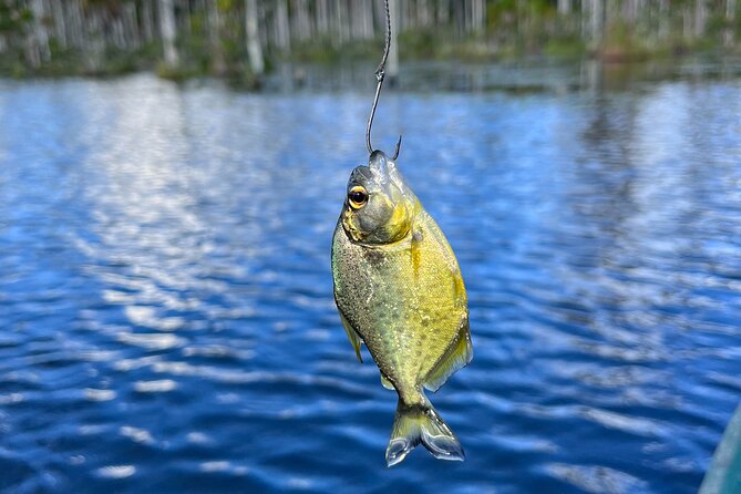 3 Hours Private Piranha Fishing in Lake Yacumama - Key Points