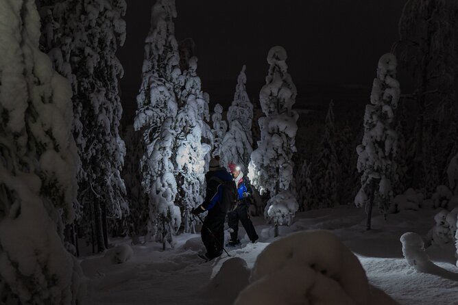 3-Hours Small-Group Ski Trekking by Night Experience - Key Points