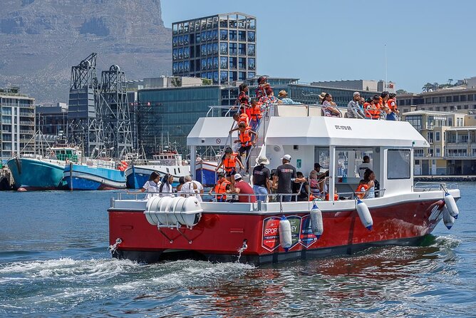 30min Harbour Boat Cruise Cape Town - Experience Details