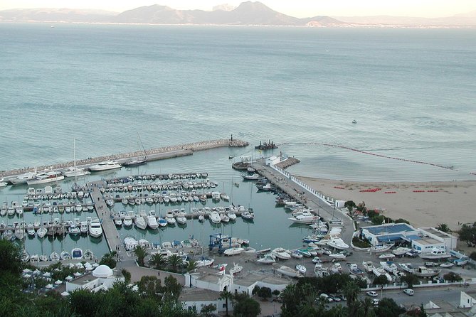 1/2 Day Carthage & Sidi Bou Said - Traveler Experiences and Reviews