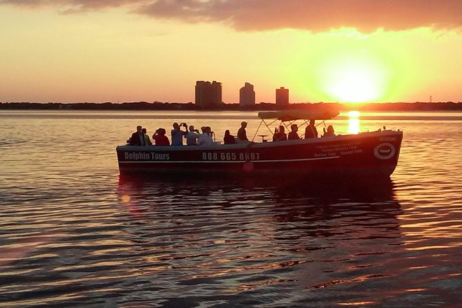 1.5-Hour Dolphin Sightseeing Cruise From Tampa - Customer Experiences