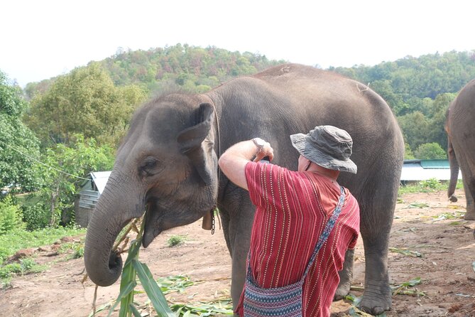 1 Day Eco Elephant Excursion - Booking Information