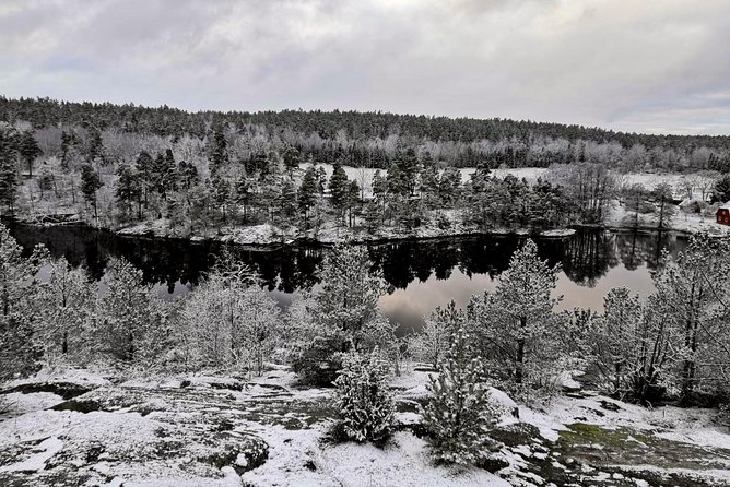 1-Day Small-Group Stockholm Nature Winter Hiking - Lunch Inclusions