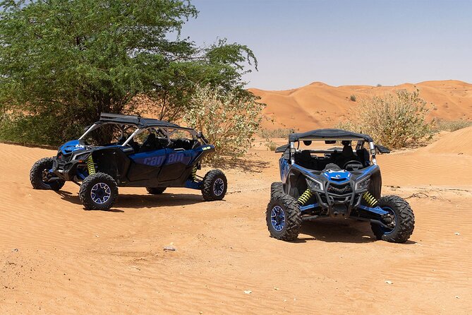 1 Hour 4-Seater Can-A X3 Turbo Buggy Family Tour in Dubai - Accessibility and Health Considerations