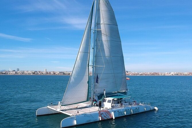 1 Hour Sailing Excursion in Valencia - Reviews and Ratings Analysis