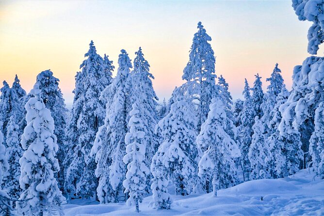 1-Hour Snowmobile Safari Adventure in Rovaniemi - Booking Information