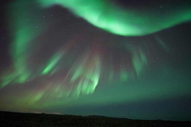 #1 Northern Lights Tour in Iceland From Reykjavik With PRO Photos - Additional Information
