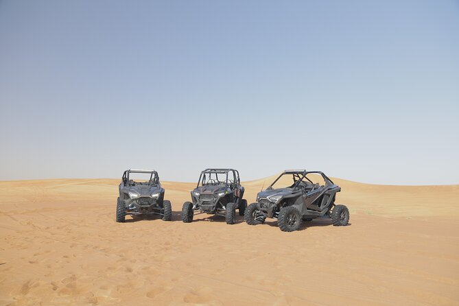 1 Seater Dune Buggy Safari / in Morning - Booking and Pricing Information