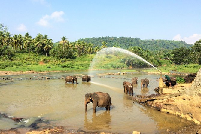 12 Day Explore Sri Lanka - Day 2: Colombo City Tour