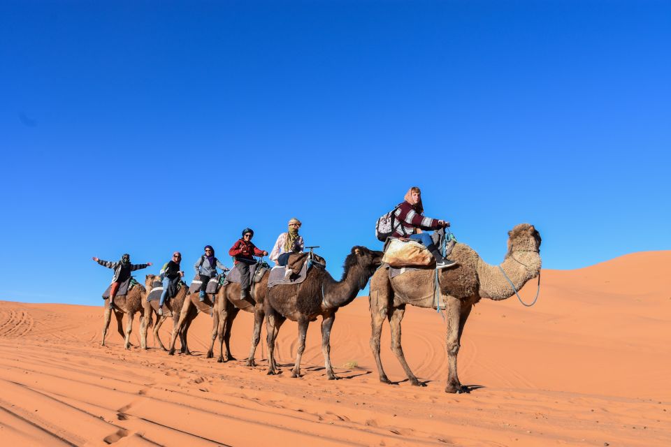2-Day, 1-Night Desert Trip to Merzouga From Ouarzazate - Experience Highlights