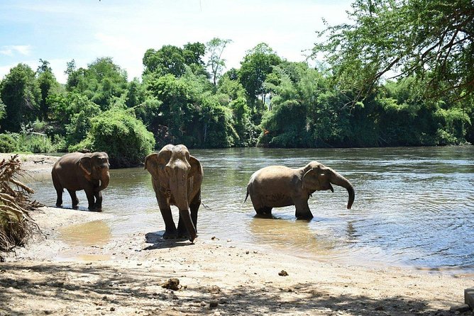 2 Day 1 Night Elephant World Kanchanaburi From Bangkok - Cancellation Policy