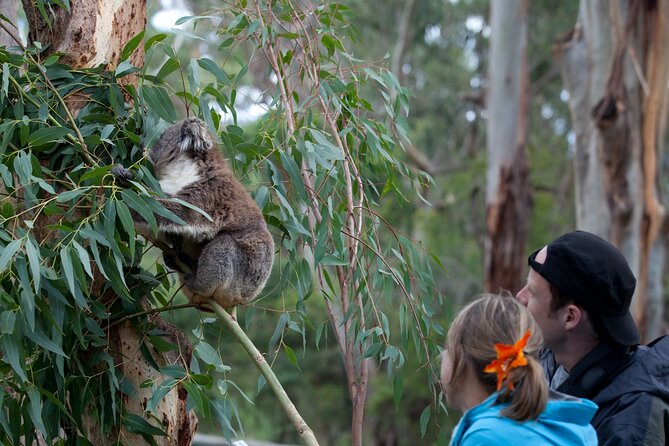 2 Day Exclusively Private Tour Of Phillip Island & The Great Ocean Road - Meals and Dining Options