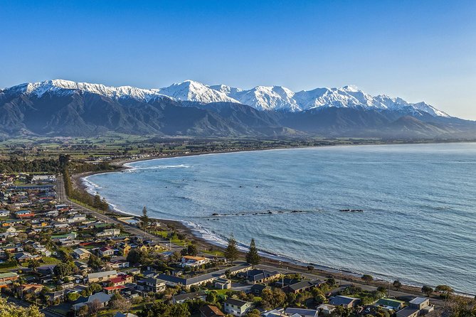 2 Day Kaikoura Whale and Dolphin Tour From Christchurch - Booking Terms