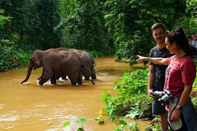 2-Day Kindred Spirit Elephant Sanctuary in Chiang Mai - Accommodation Details