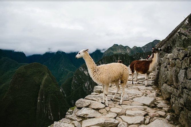 2-Day Short Inca Trail to Machu Picchu - Packing Essentials