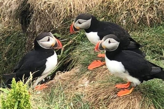 2-Day Southern Iceland, Glacier Lagoon and Diamond Beach Tour - Assistance and Support