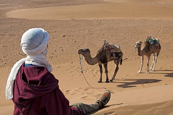 2 Day Trip Zagora Desert Camp and Camel Ride - Transport and Accommodation