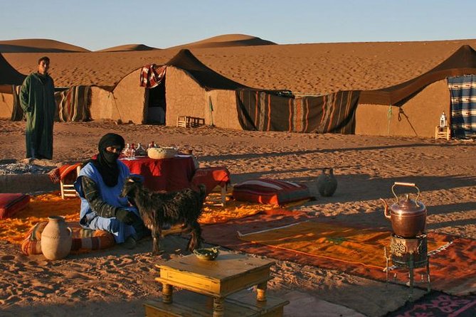 2 Days / 1 Night Excursion to Zagora (Desert) From Marrakech - Common questions
