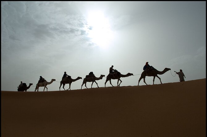 2 Days/1 Night Sahara Desert Trip: Fes - Merzouga - Fes - Final Thoughts