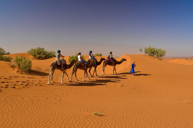 2 Days 1 Night To Zagora Desert From Marrakech: Private Trip - Inclusions and Exclusions