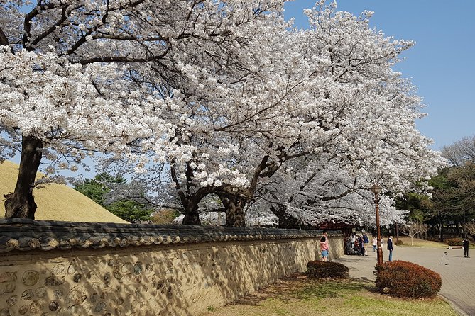 2 Days Gyeongju Private Tour From Seoul and Near Seoul - Customer Reviews and Ratings