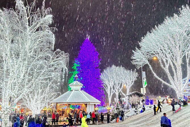 2 Days Leavenworth Christmastown Tour From Vancouver (Chn&Eng) - Meal Options