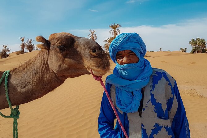 2 Days Marrakech to Zagora Desert Trip - Activity and Excursion Inclusions