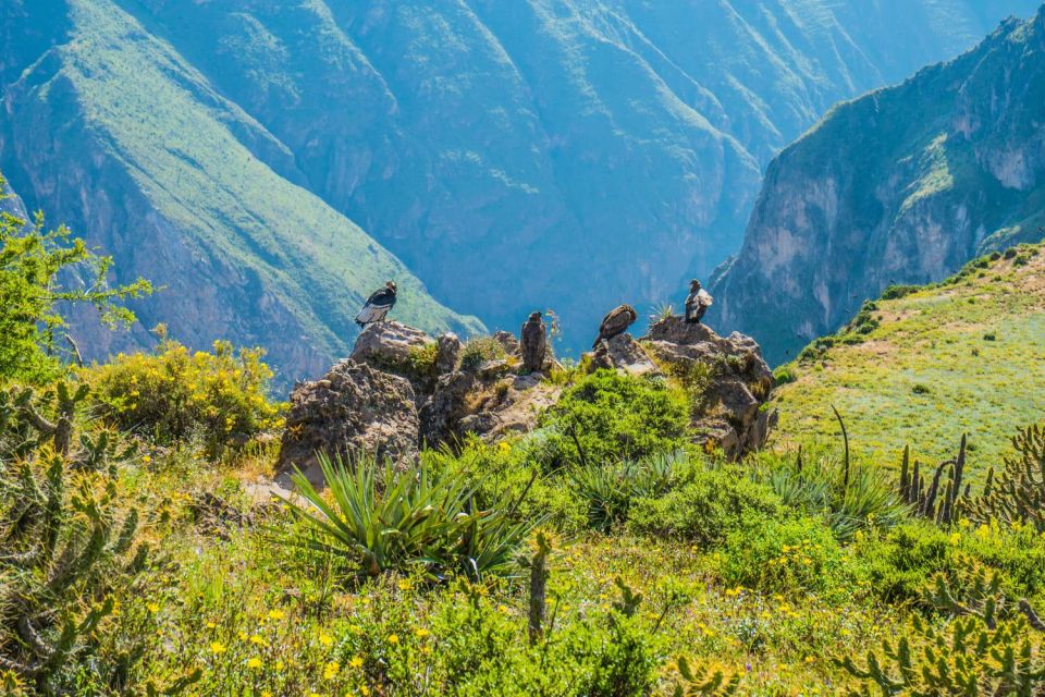 2 Days Trekking to the Colca Valley and the Condor's Cross - Detailed Itinerary for the Trek