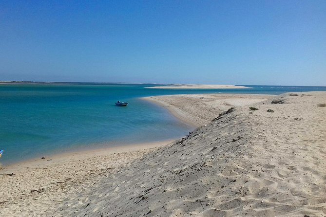 2-Hour Bird Watching Guided Boat Trip in Ria Formosa From Faro Algarve - Booking and Information