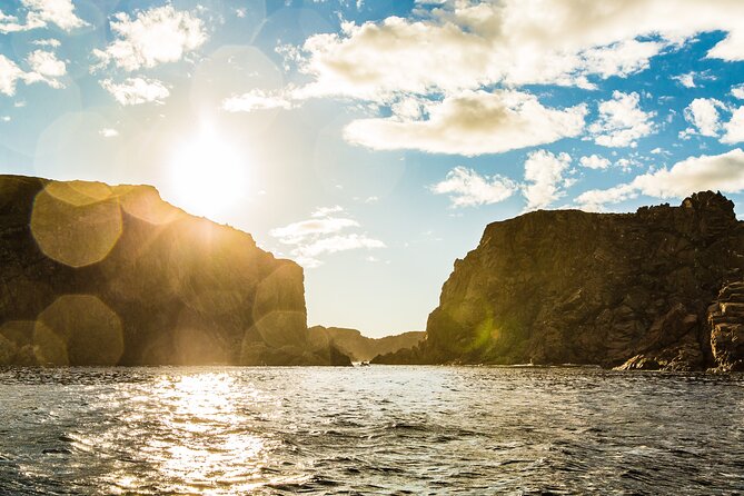 2 Hour Boat Tour in Twillingate - Example Review