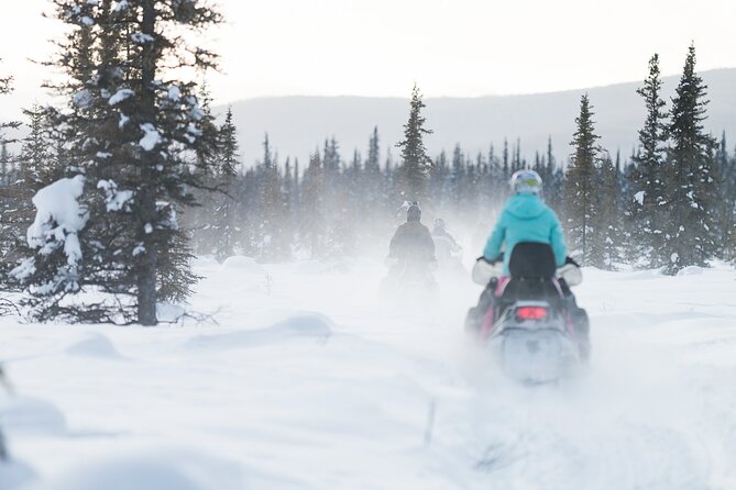 2-Hour Guided Snowmobile Tour in Fairbanks - Reviews and Recommendations